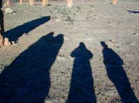 Schatten Arbeit